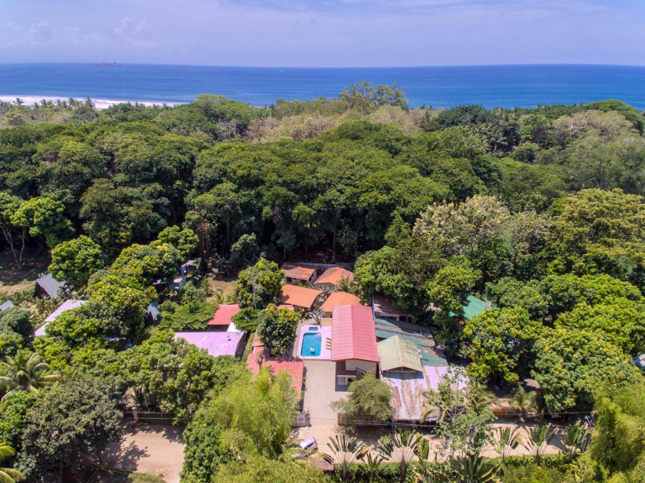 Appartement Tropical Beach à Uvita Extérieur photo